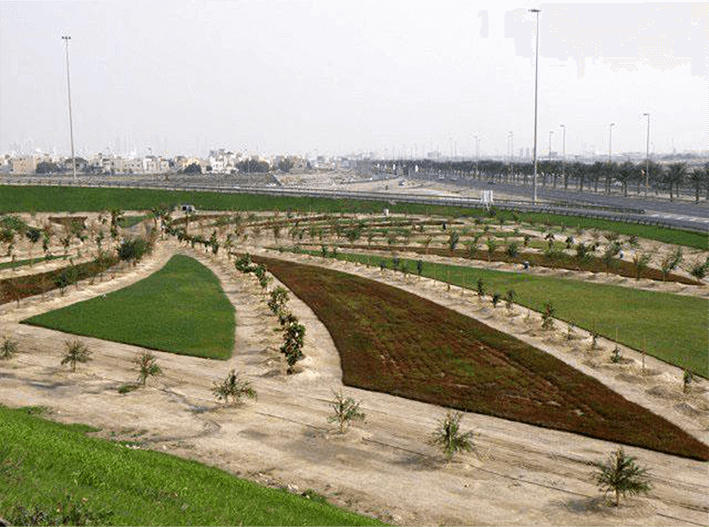 巴林高速公路景观工程建设项目